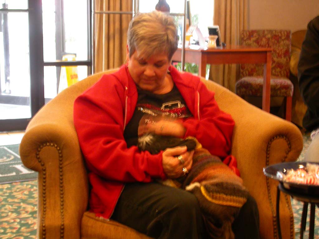 2012_10_05_Eureka_Springs_245