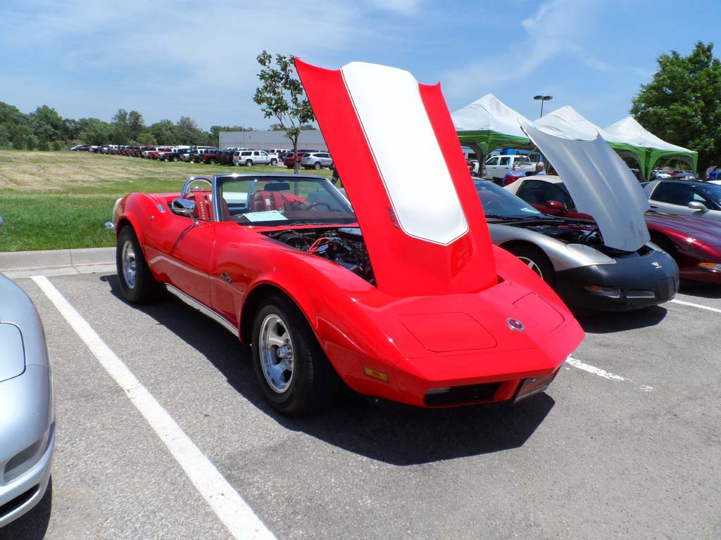 2013_06_08_NCRS_Show_112