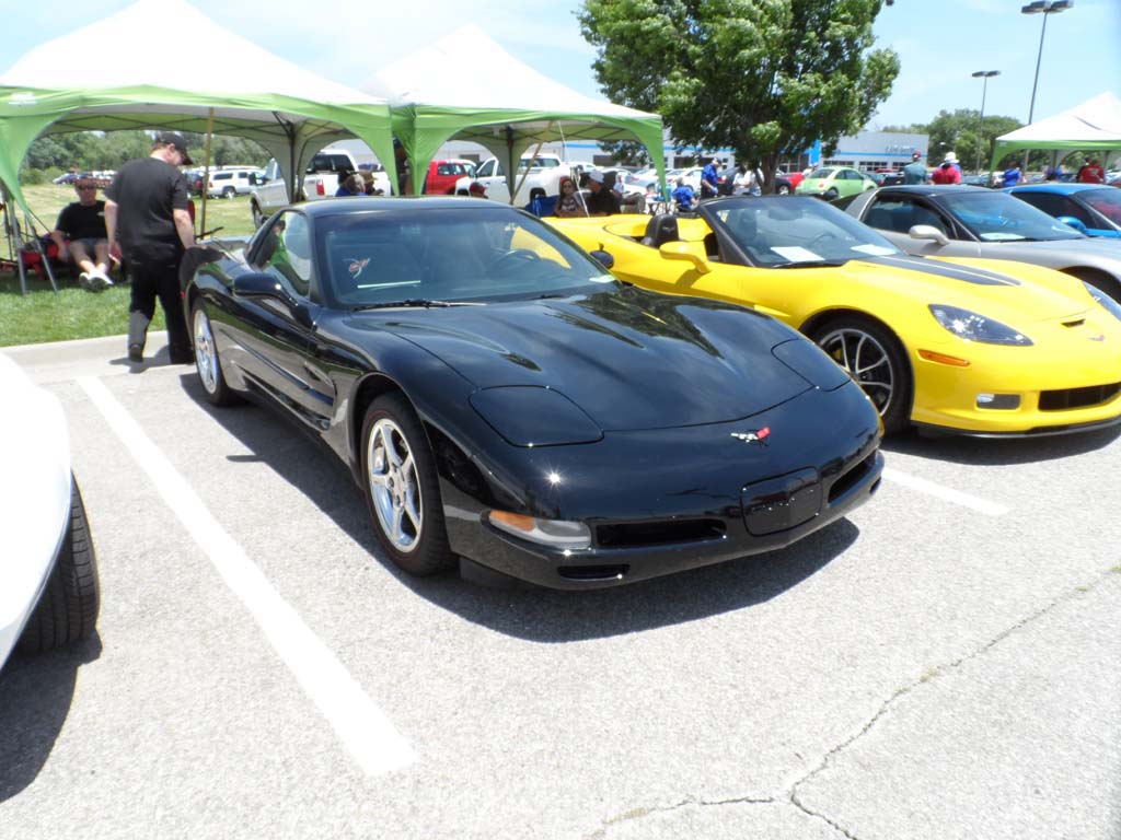 2013_06_08_NCRS_Show_118