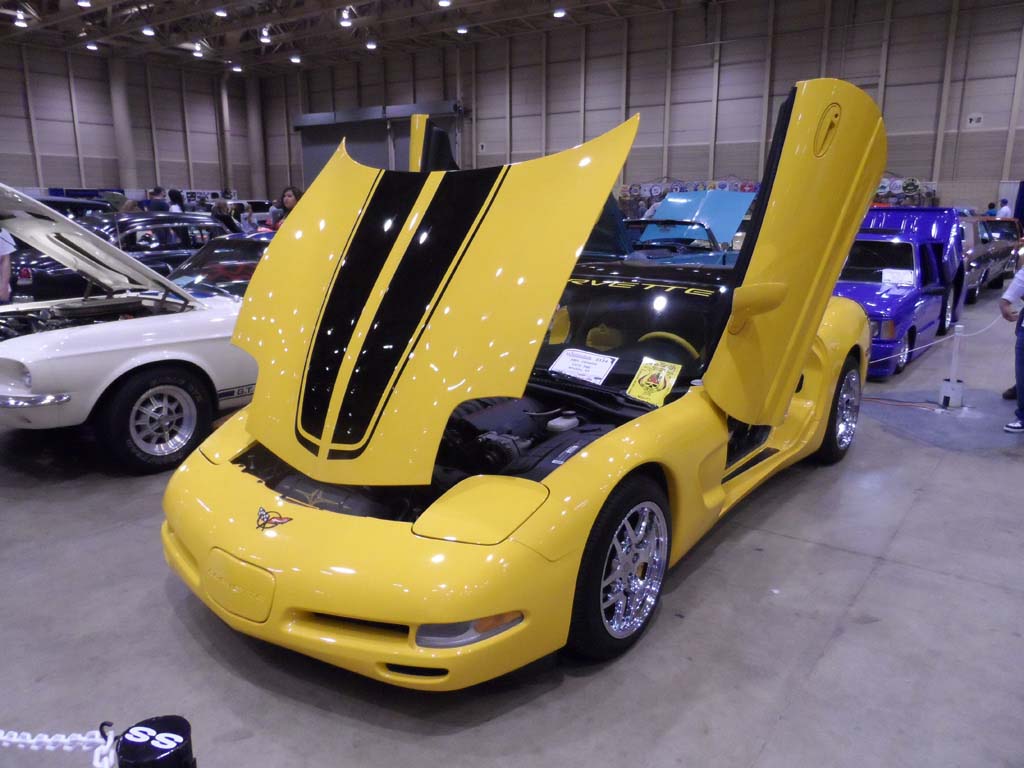 2014_01_18_Starbird_Show_216