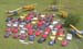 2008_06_21_Benton_Air_Show_006