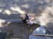 2011_10_06_Eureka_Springs_271