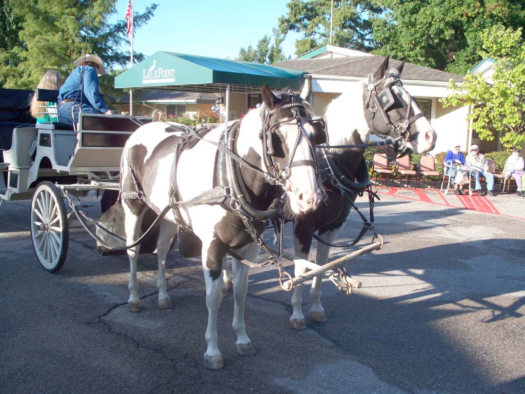 Lake_Point_Corvette_Show024