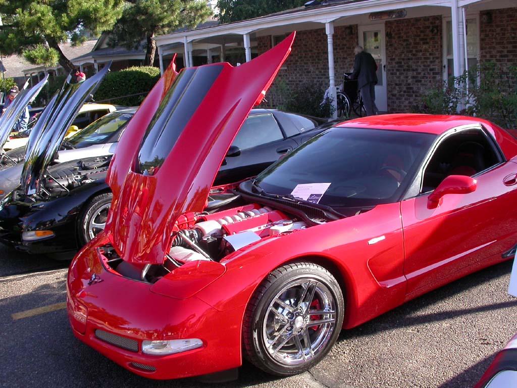 Lake_Point_Corvette_Show031