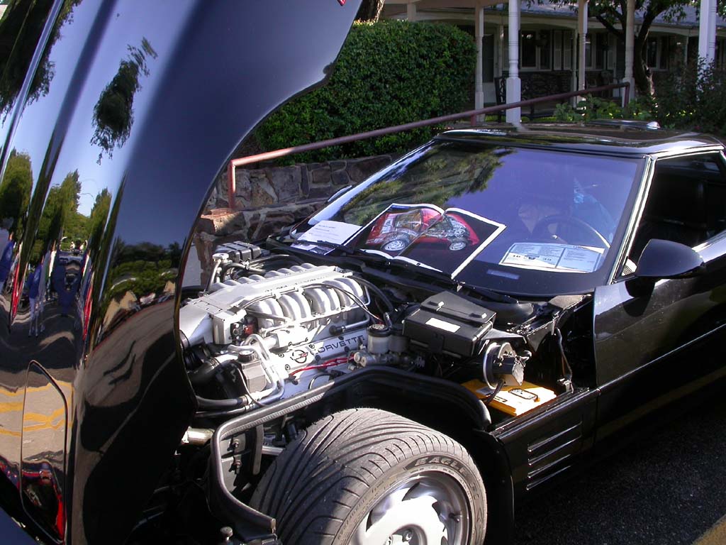 Lake_Point_Corvette_Show034