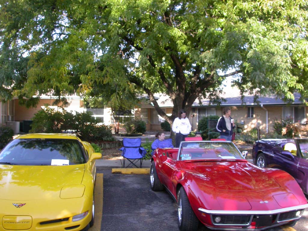 Lake_Point_Corvette_Show044