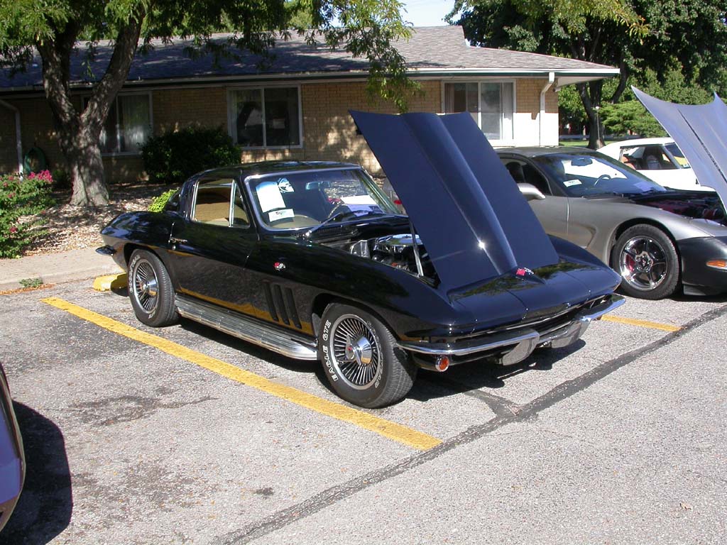Lake_Point_Corvette_Show059