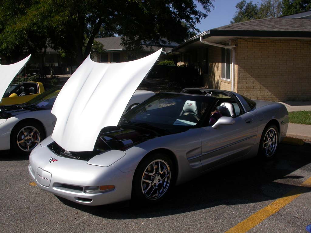 Lake_Point_Corvette_Show070