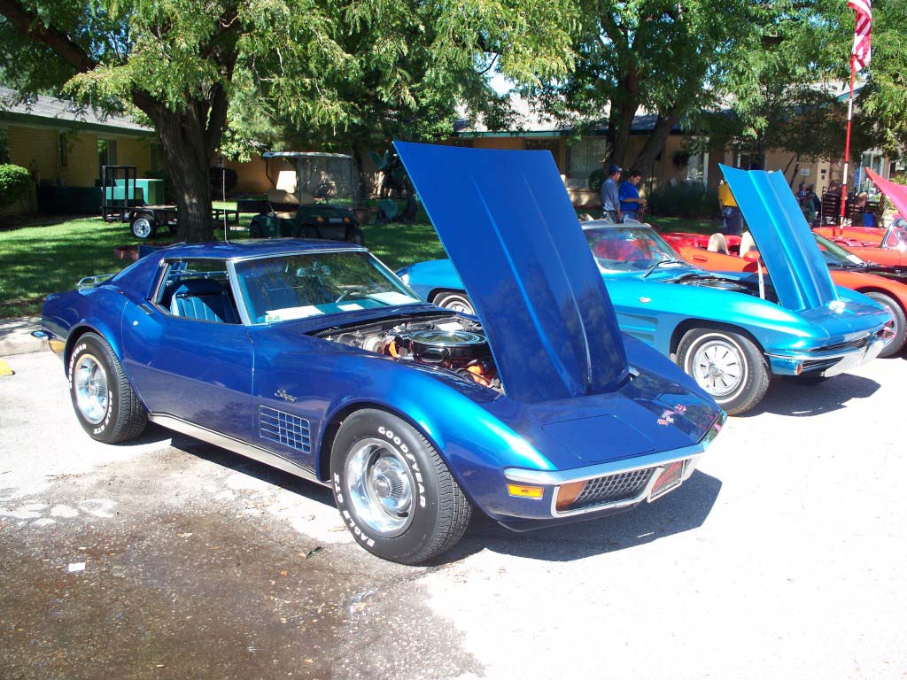Lake_Point_Corvette_Show091