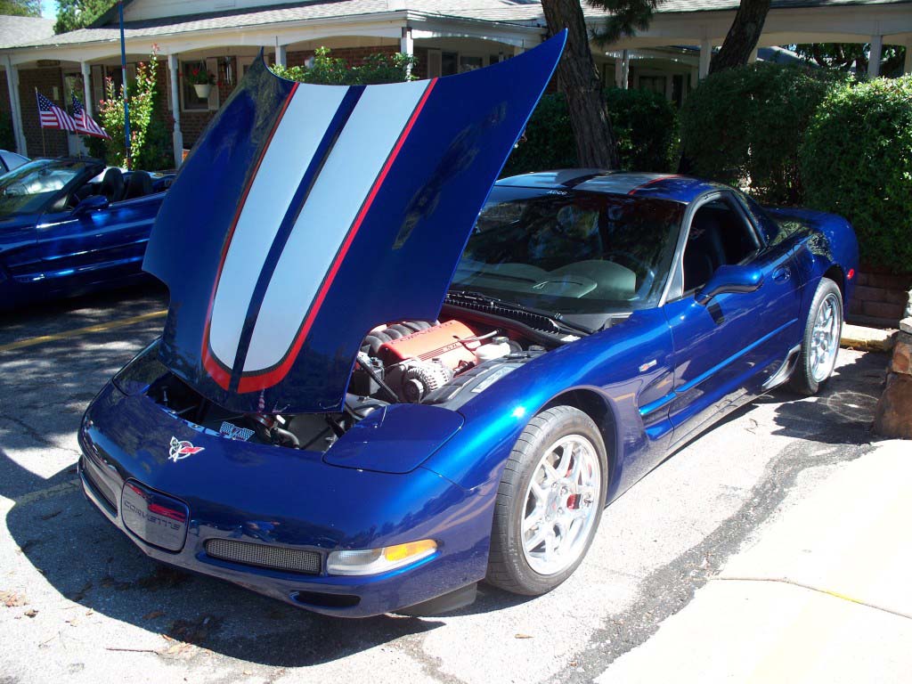 Lake_Point_Corvette_Show095