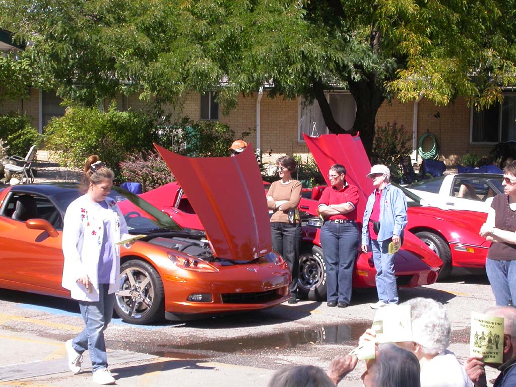 Lake_Point_Corvette_Show097