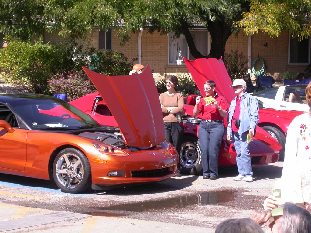 Lake_Point_Corvette_Show098