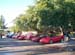 Lake_Point_Corvette_Show029