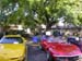 Lake_Point_Corvette_Show044