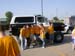 2008_08_22_Special_Olympics_029