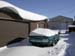 DSCN0981