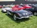 Corvette_Tags_019